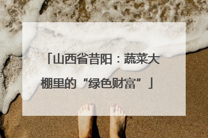 山西省昔阳：蔬菜大棚里的“绿色财富”