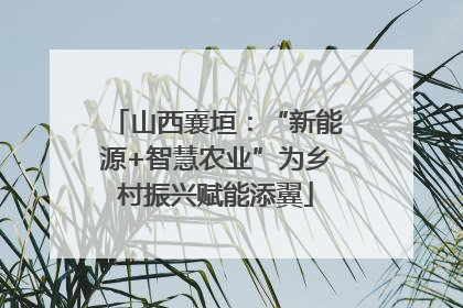 山西襄垣：“新能源+智慧农业”为乡村振兴赋能添翼