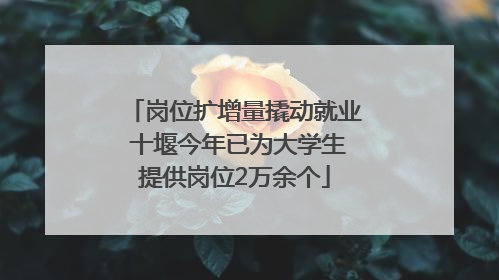 岗位扩增量撬动就业 十堰今年已为大学生提供岗位2万余个