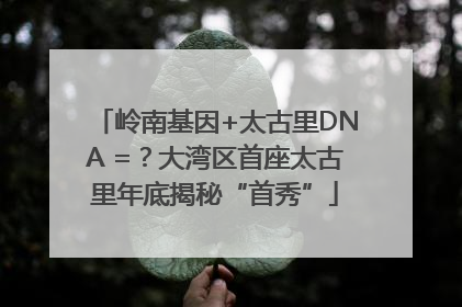 岭南基因+太古里DNA =？大湾区首座太古里年底揭秘“首秀”