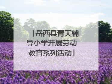 岳西县青天辅导小学开展劳动教育系列活动