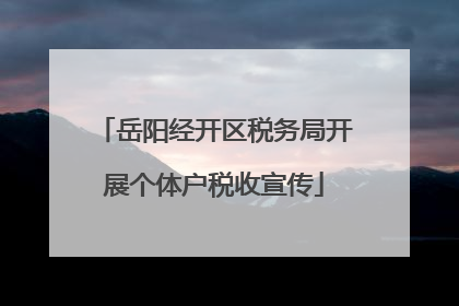 岳阳经开区税务局开展个体户税收宣传