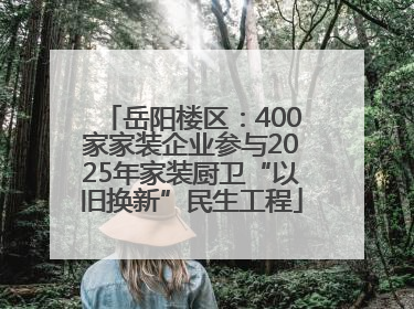 岳阳楼区：400家家装企业参与2025年家装厨卫“以旧换新”民生工程