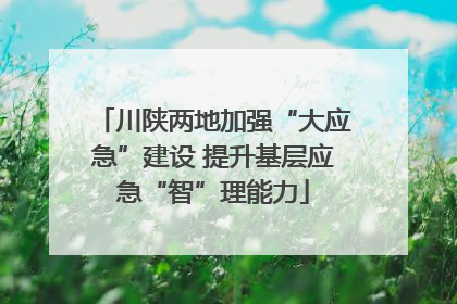 川陕两地加强“大应急”建设 提升基层应急“智”理能力
