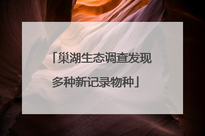 巢湖生态调查发现多种新记录物种