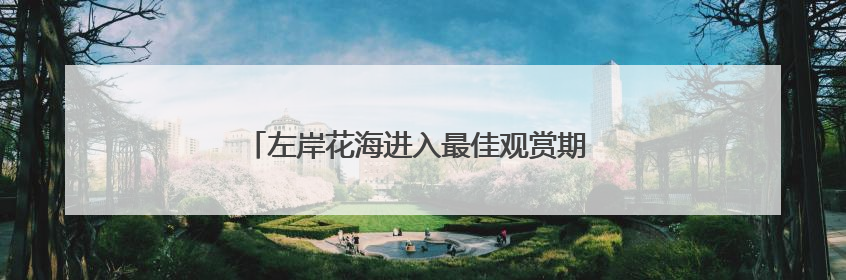 左岸花海进入最佳观赏期 邀市民共赏夏日繁花盛景