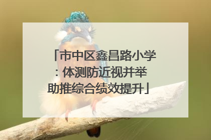 市中区鑫昌路小学：体测防近视并举 助推综合绩效提升