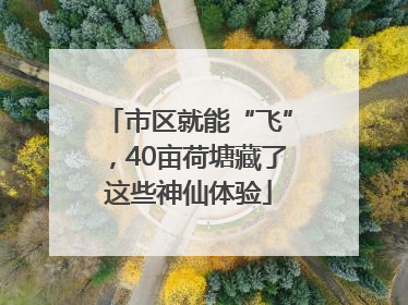 市区就能“飞”，40亩荷塘藏了这些神仙体验
