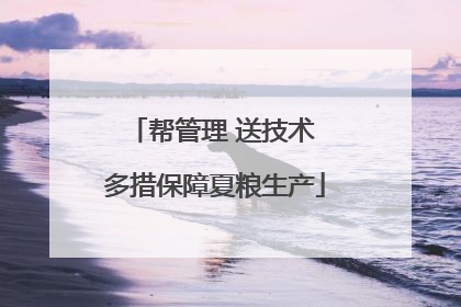 帮管理 送技术 多措保障夏粮生产