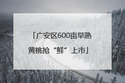 广安区600亩早熟黄桃抢“鲜”上市