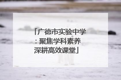 广德市实验中学：聚焦学科素养 深耕高效课堂