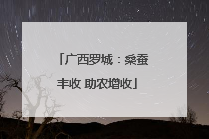 广西罗城：桑蚕丰收 助农增收