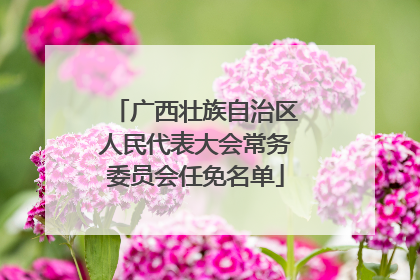 广西壮族自治区人民代表大会常务委员会任免名单