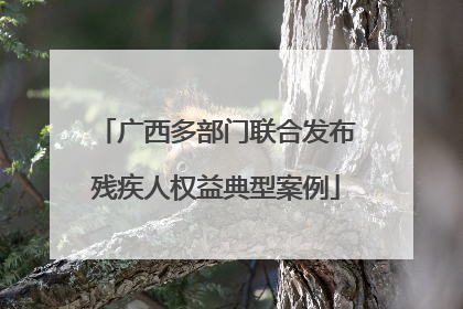 广西多部门联合发布残疾人权益典型案例