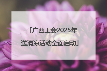 广西工会2025年送清凉活动全面启动