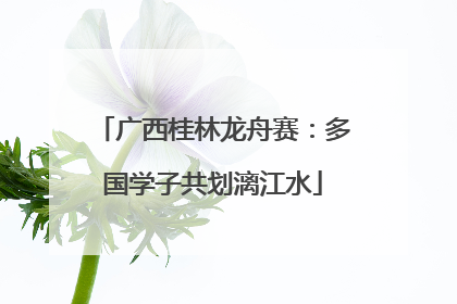 广西桂林龙舟赛：多国学子共划漓江水