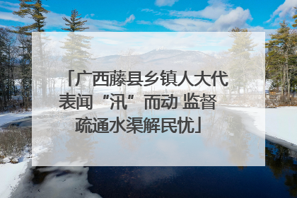 广西藤县乡镇人大代表闻“汛”而动 监督疏通水渠解民忧