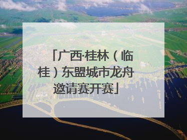 广西·桂林（临桂）东盟城市龙舟邀请赛开赛