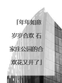 年年如意 岁岁合欢 石家庄公园的合欢花又开了