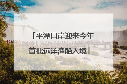 平潭口岸迎来今年首批远洋渔船入境