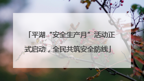 平湖“安全生产月”活动正式启动，全民共筑安全防线