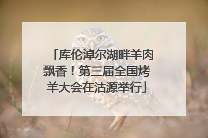 库伦淖尔湖畔羊肉飘香！第三届全国烤羊大会在沽源举行