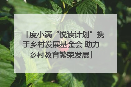 度小满“悦读计划”携手乡村发展基金会 助力乡村教育繁荣发展