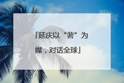 延庆以“薯”为媒，对话全球