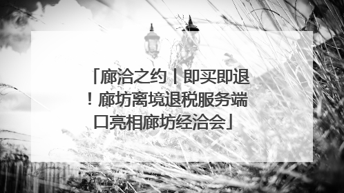 廊洽之约丨即买即退！廊坊离境退税服务端口亮相廊坊经洽会