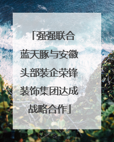 强强联合 蓝天豚与安徽头部装企荣锋装饰集团达成战略合作