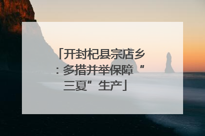 开封杞县宗店乡：多措并举保障“三夏”生产