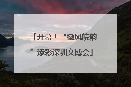 开幕！“徽风皖韵”添彩深圳文博会