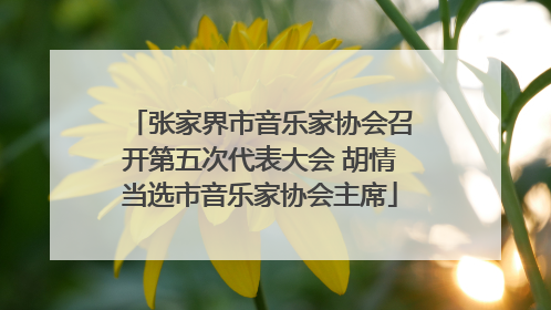 张家界市音乐家协会召开第五次代表大会 胡情当选市音乐家协会主席