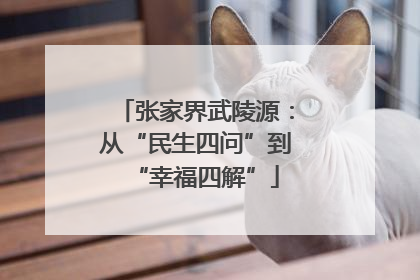 张家界武陵源：从“民生四问”到“幸福四解”