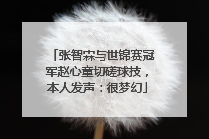 张智霖与世锦赛冠军赵心童切磋球技，本人发声：很梦幻
