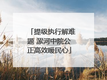 提级执行解难题 漯河中院公正高效暖民心