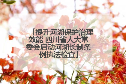 提升河湖保护治理效能 四川省人大常委会启动河湖长制条例执法检查