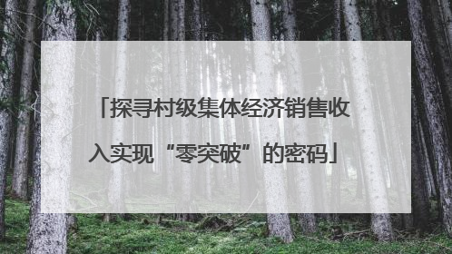 探寻村级集体经济销售收入实现“零突破”的密码