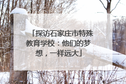 探访石家庄市特殊教育学校：他们的梦想，一样远大