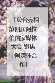总台亮相第四届阿拉伯国家媒体大会 聚焦中阿媒体合作