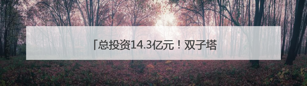 总投资14.3亿元！双子塔造型！泉州一项目有新进展