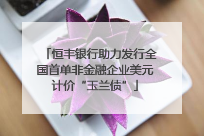 恒丰银行助力发行全国首单非金融企业美元计价“玉兰债”