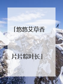 悠悠艾草香 片片粽叶长