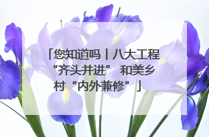 您知道吗丨八大工程“齐头并进” 和美乡村“内外兼修”