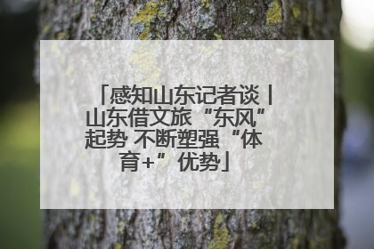 感知山东记者谈丨山东借文旅“东风”起势 不断塑强“体育+”优势