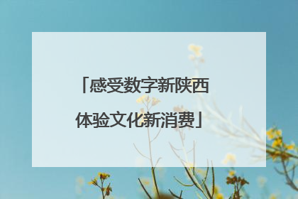 感受数字新陕西 体验文化新消费