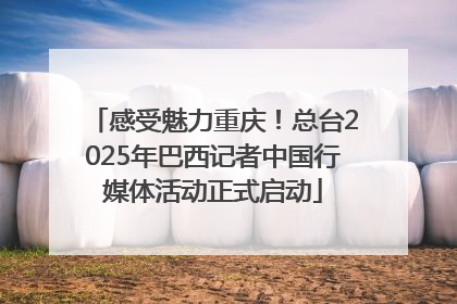 感受魅力重庆！总台2025年巴西记者中国行媒体活动正式启动