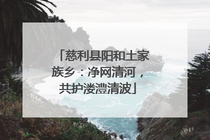 慈利县阳和土家族乡：净网清河，共护溇澧清波