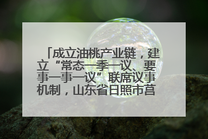 成立油桃产业链，建立“常态一季一议、要事一事一议”联席议事机制，山东省日照市莒县果庄镇——13个党小组“全周期”育果