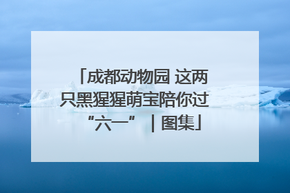成都动物园 这两只黑猩猩萌宝陪你过“六一”｜图集